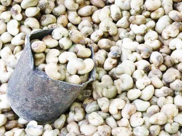 Bouffée d’oxygène pour les économies africaines